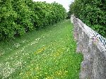 2006-0605-1620-32.jpg